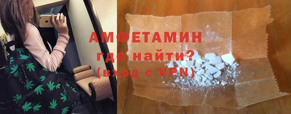 шишки Абаза