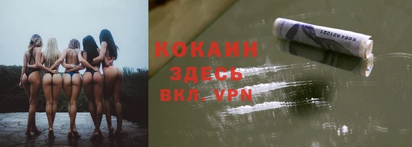 кокс Аркадак