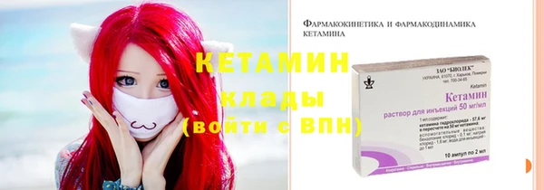 шишки Абаза