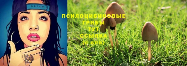 гидропоника Абинск