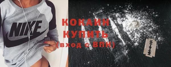 шишки Абаза