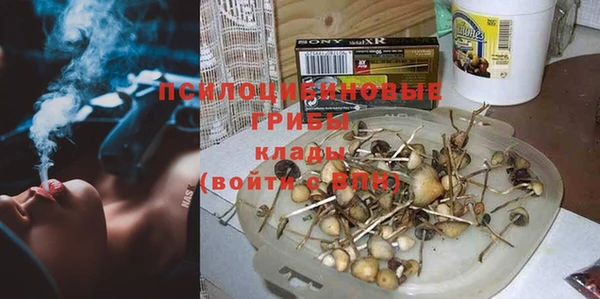 гидропоника Абинск