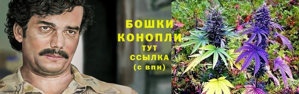 ПСИЛОЦИБИНОВЫЕ ГРИБЫ Абдулино