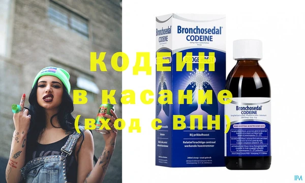 шишки Абаза