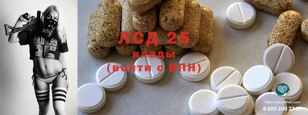 шишки Абаза
