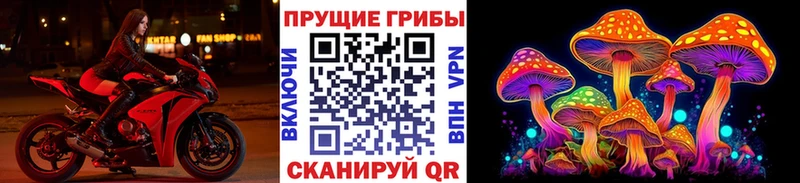 Галлюциногенные грибы Magic Shrooms  Котлас 