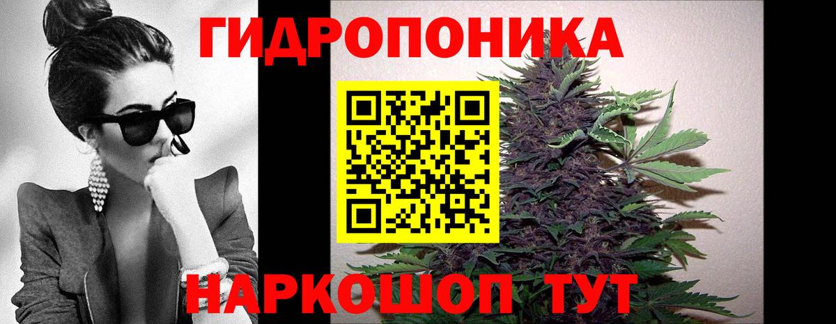 Канабис MAZAR  Каннабис сатива  Вход с VPN  Котлас  МАРИХУАНА AK-47 